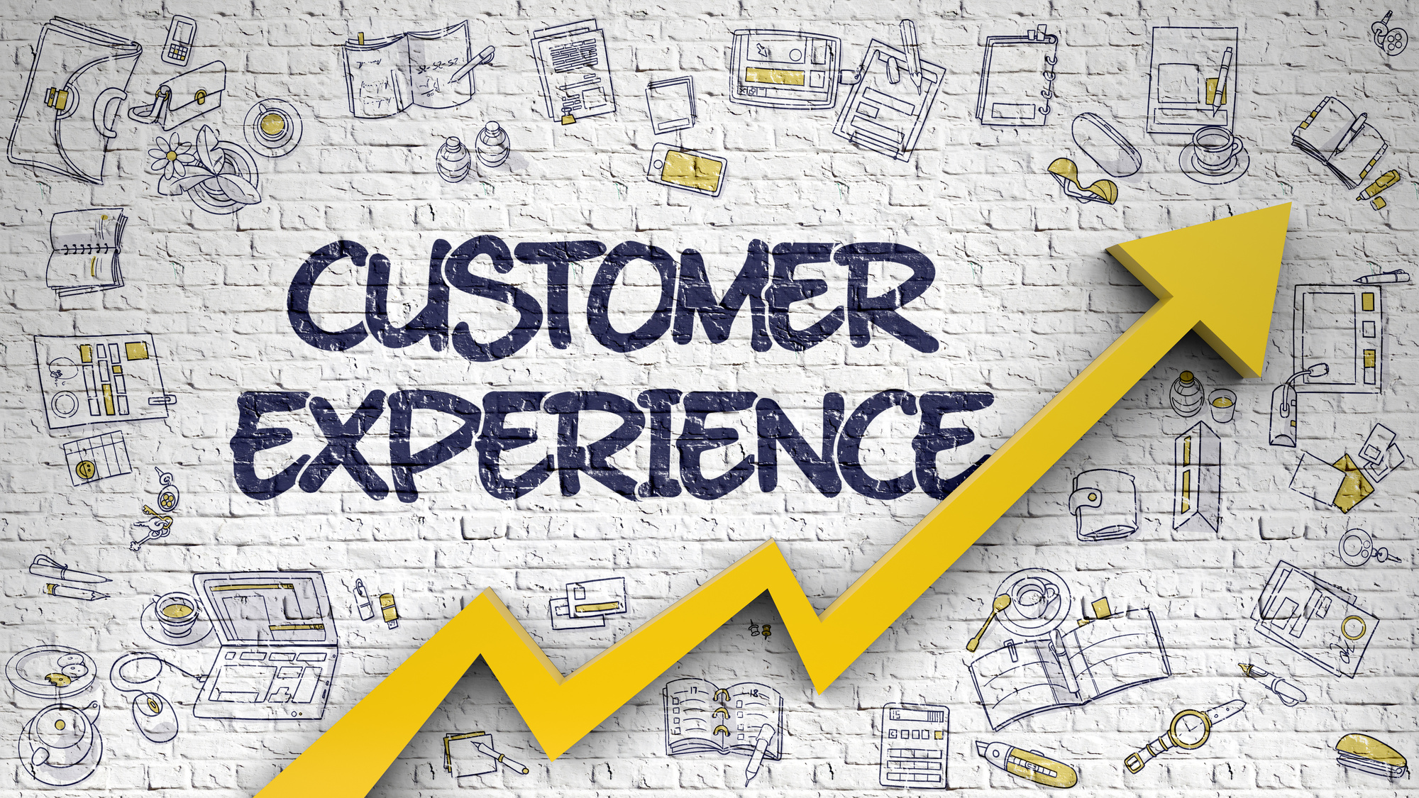 Customer Experiences and Reviews