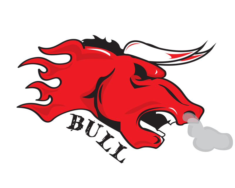 Bull in Other Logos